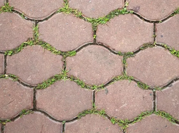 Curing Methods for Paver Block